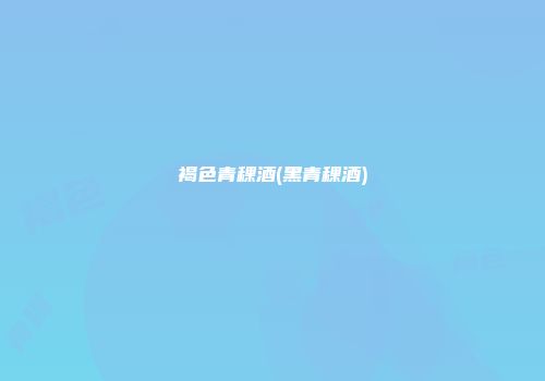 褐色青稞酒(黑青稞酒)