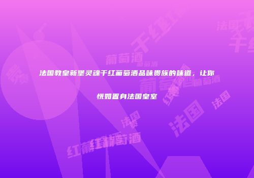 法国教皇新堡灵魂干红葡萄酒品味贵族的味道，让你恍如置身法国皇室