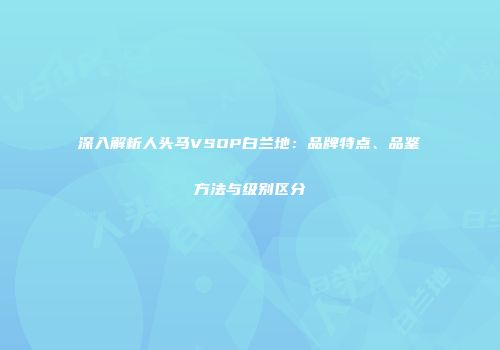 深入解析人头马VSOP白兰地：品牌特点、品鉴方法与级别区分