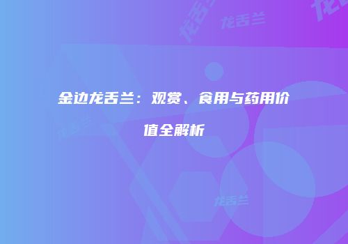 金边龙舌兰：观赏、食用与药用价值全解析