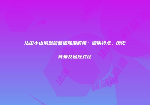 法国小山城堡葡萄酒深度解析：酒质特点、历史背景及名庄对比