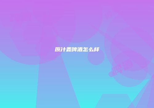 原汁麦啤酒怎么样