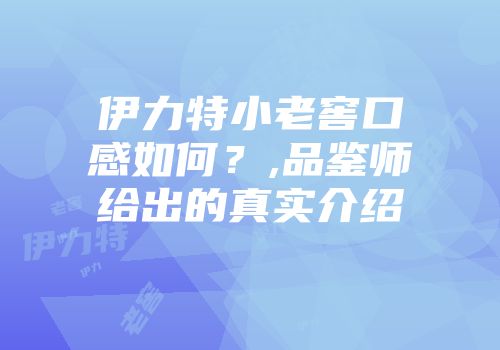 伊力特小老窖口感如何？,品鉴师给出的真实介绍