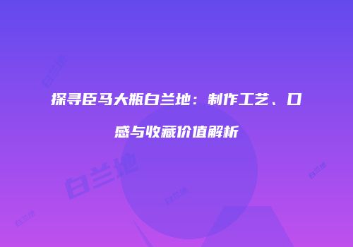 探寻臣马大瓶白兰地：制作工艺、口感与收藏价值解析