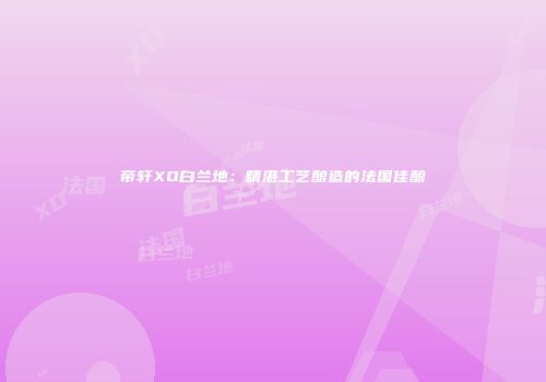 帝轩XO白兰地：精湛工艺酿造的法国佳酿