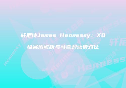 轩尼诗James Hennessy：XO级名酒解析与马爹利蓝带对比