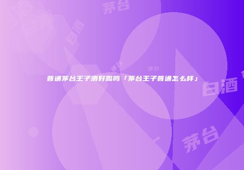 普通茅台王子酒好喝吗「茅台王子普通怎么样」