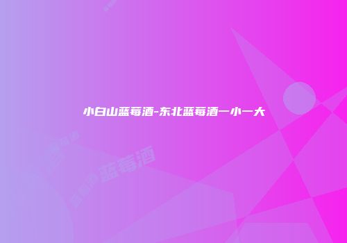 小白山蓝莓酒-东北蓝莓酒一小一大