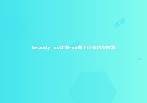 brandy xo洋酒-xo属于什么档次的酒