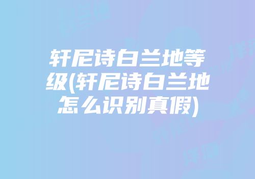 轩尼诗白兰地等级(轩尼诗白兰地怎么识别真假)