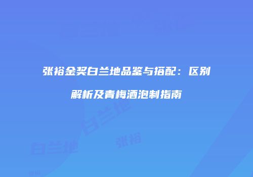 张裕金奖白兰地品鉴与搭配：区别解析及青梅酒泡制指南