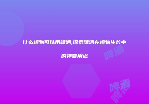 什么植物可以用啤酒,探索啤酒在植物生长中的神奇用途