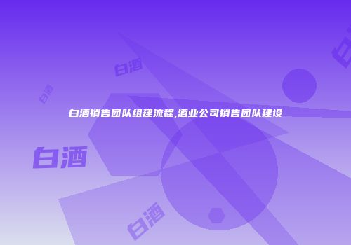 白酒销售团队组建流程,酒业公司销售团队建设