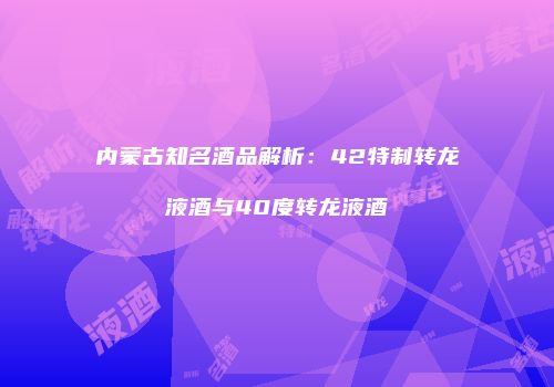 内蒙古知名酒品解析：42特制转龙液酒与40度转龙液酒