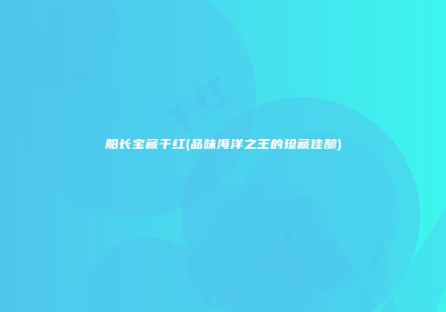 船长宝藏干红(品味海洋之王的珍藏佳酿)