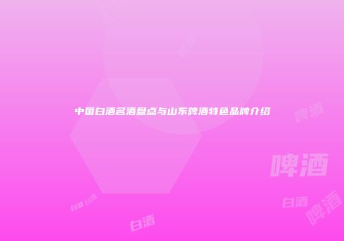 中国白酒名酒盘点与山东啤酒特色品牌介绍