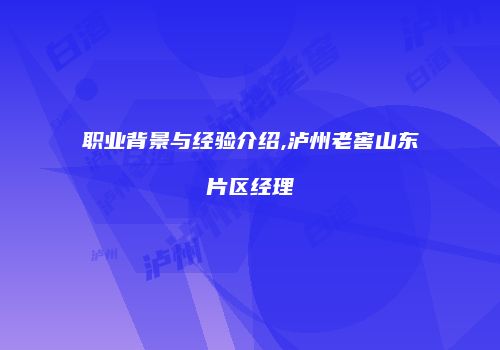 职业背景与经验介绍,泸州老窖山东片区经理