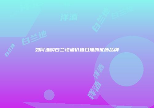 如何选购白兰地酒价格合理的优质品牌