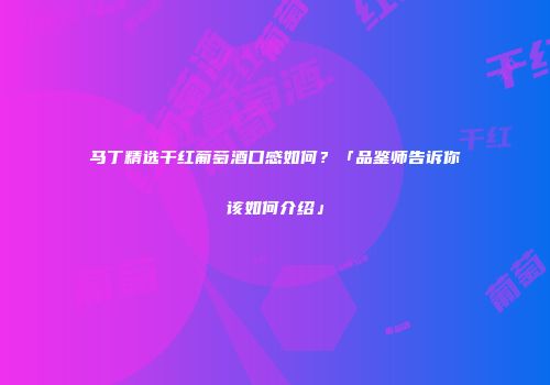 马丁精选干红葡萄酒口感如何？「品鉴师告诉你该如何介绍」
