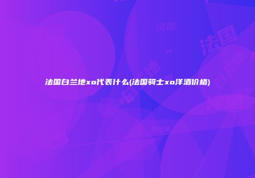 法国白兰地xo代表什么(法国骑士xo洋酒价格)