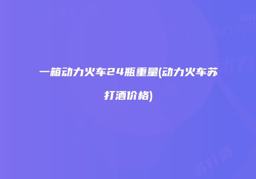 一箱动力火车24瓶重量(动力火车苏打酒价格)