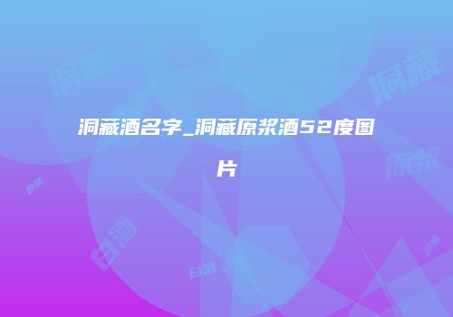 洞藏酒名字_洞藏原浆酒52度图片