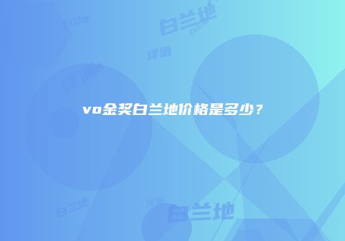 vo金奖白兰地价格是多少？