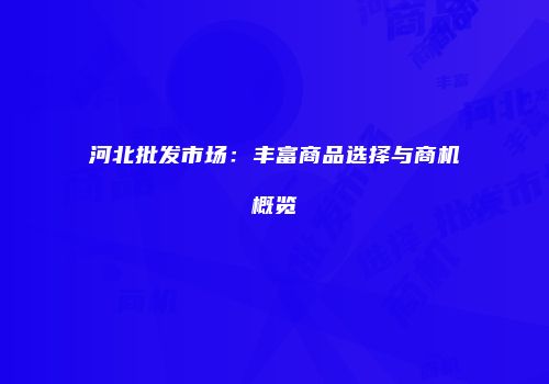河北批发市场：丰富商品选择与商机概览