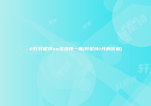2斤轩尼诗xo多少钱一瓶(轩尼诗1升的价格)