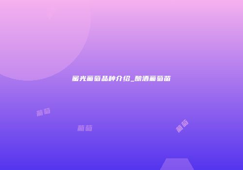 蜜光葡萄品种介绍_酿酒葡萄苗