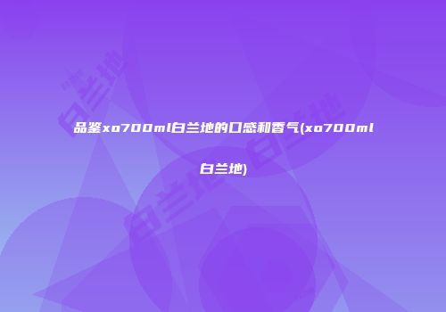 品鉴xo700ml白兰地的口感和香气(xo700ml白兰地)