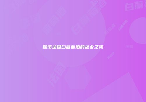 探访法国白葡萄酒的故乡之旅