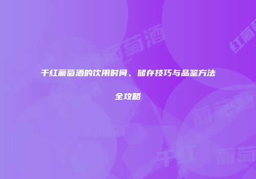 干红葡萄酒的饮用时间、储存技巧与品鉴方法全攻略