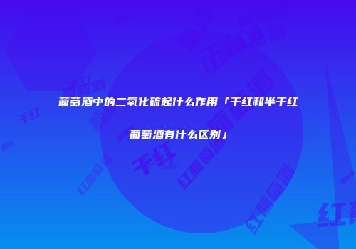 葡萄酒中的二氧化硫起什么作用「干红和半干红葡萄酒有什么区别」