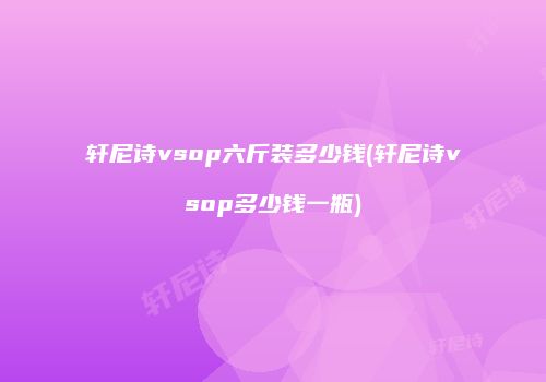 轩尼诗vsop六斤装多少钱(轩尼诗vsop多少钱一瓶)
