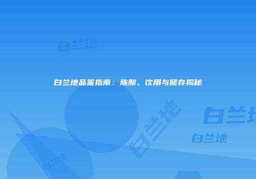 白兰地品鉴指南：陈酿、饮用与储存揭秘