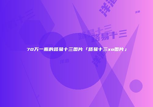 70万一瓶的路易十三图片「路易十三xo图片」