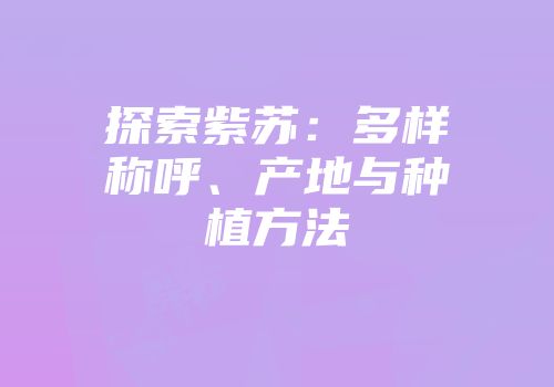探索紫苏：多样称呼、产地与种植方法