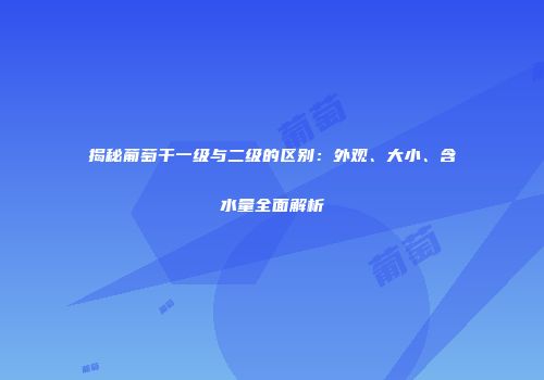 揭秘葡萄干一级与二级的区别：外观、大小、含水量全面解析