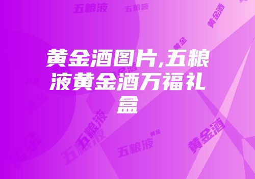 黄金酒图片,五粮液黄金酒万福礼盒