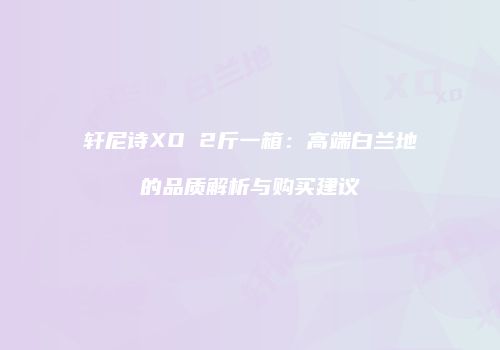 轩尼诗XO 2斤一箱：高端白兰地的品质解析与购买建议