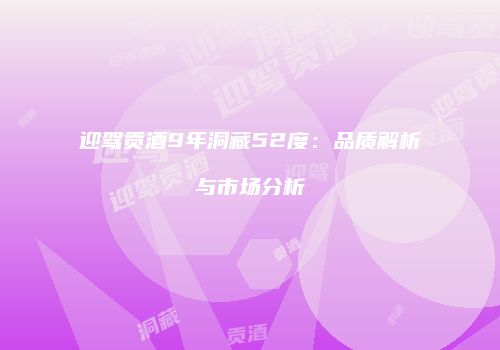 迎驾贡酒9年洞藏52度：品质解析与市场分析