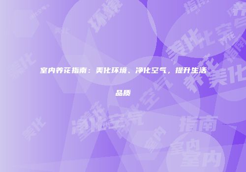 室内养花指南：美化环境、净化空气，提升生活品质