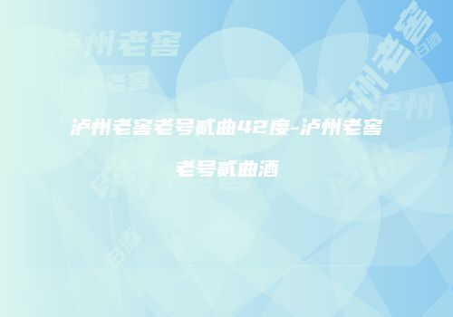 泸州老窖老号贰曲42度-泸州老窖老号贰曲酒
