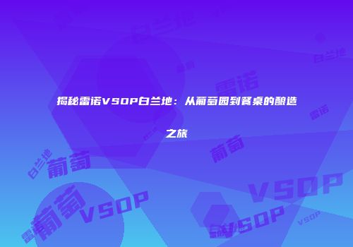 揭秘雷诺VSOP白兰地：从葡萄园到餐桌的酿造之旅