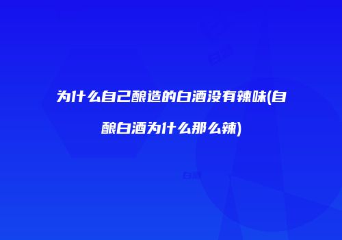 为什么自己酿造的白酒没有辣味(自酿白酒为什么那么辣)