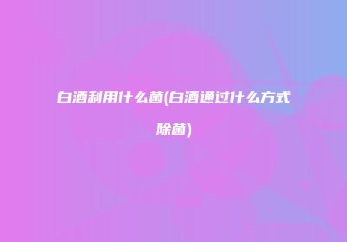白酒利用什么菌(白酒通过什么方式除菌)