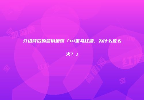 介绍背后的营销步骤「01宝马红酒，为什么这么火？」
