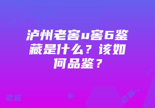 泸州老窖u窖6鉴藏是什么？该如何品鉴？