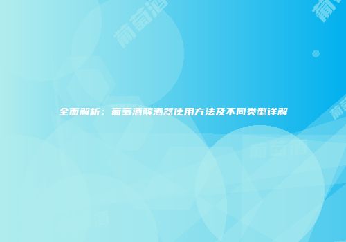全面解析：葡萄酒醒酒器使用方法及不同类型详解